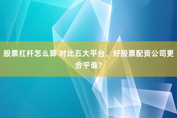 股票杠杆怎么算 对比五大平台，好股票配资公司更合乎谁？