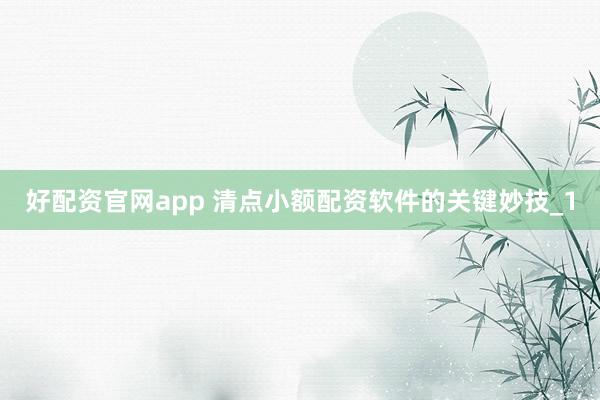 好配资官网app 清点小额配资软件的关键妙技_1