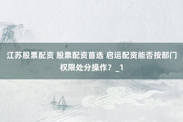 江苏股票配资 股票配资首选 启运配资能否按部门权限处分操作？_1