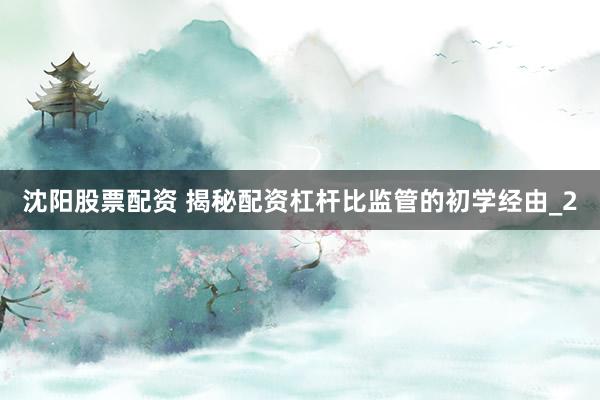 沈阳股票配资 揭秘配资杠杆比监管的初学经由_2